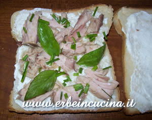 Sandwich 2: tonno e erbe