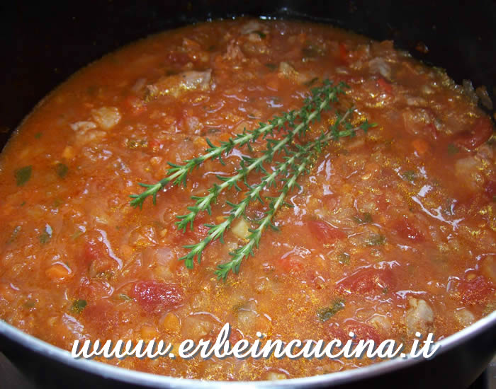 Ragù di carne e verdure al timo