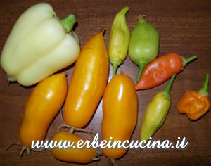 Pomodori e peperoncini