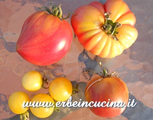 Raccolto pomodori 2012