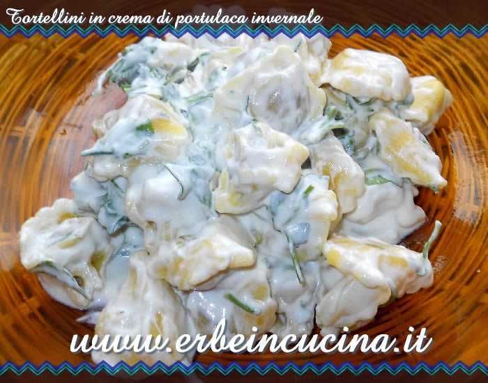 Tortellini in crema di portulaca invernale