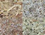 Growing spices